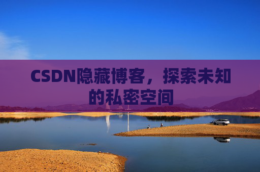 CSDN隐藏博客，探索未知的私密空间